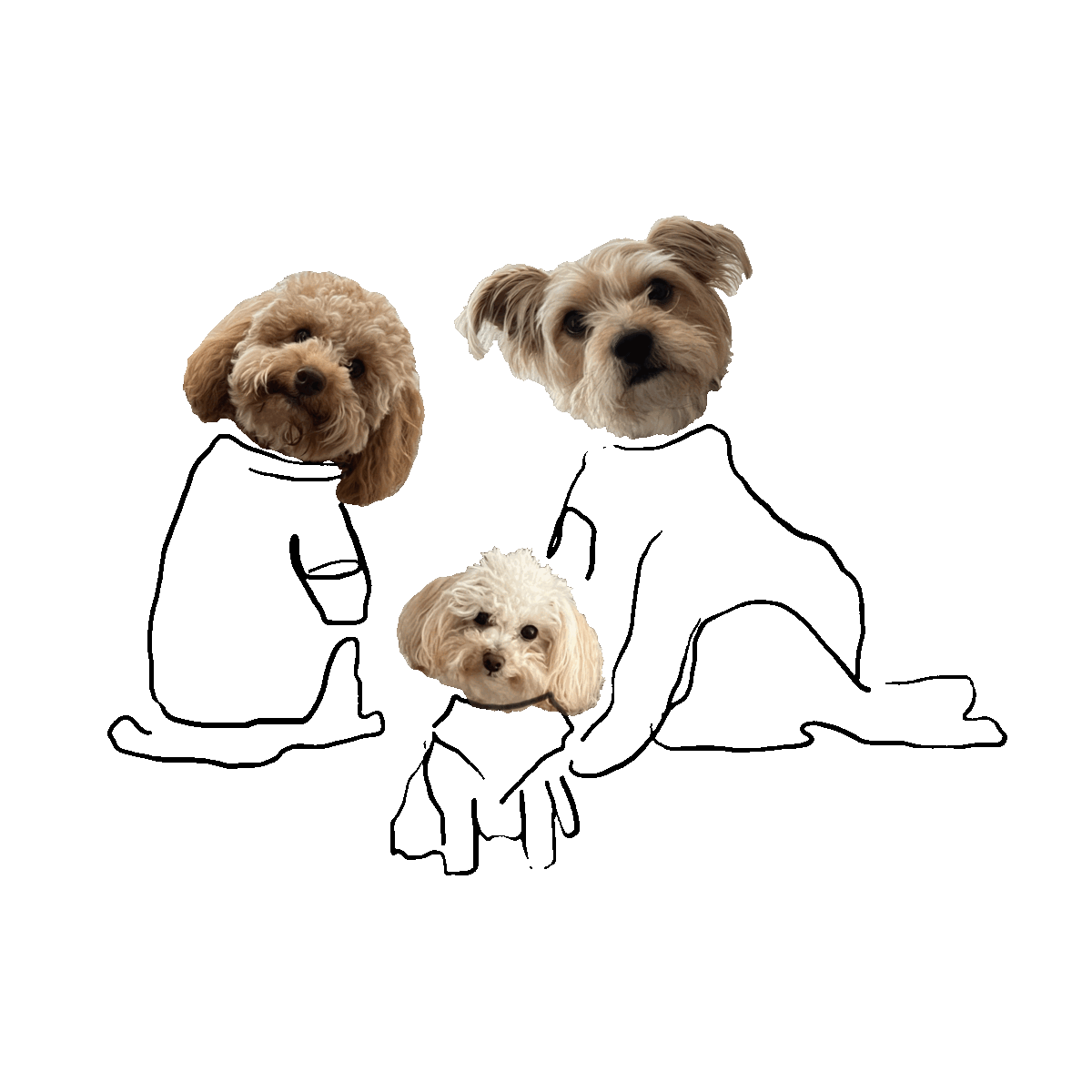 Three dogs wearing stylish abstract clothing drawings