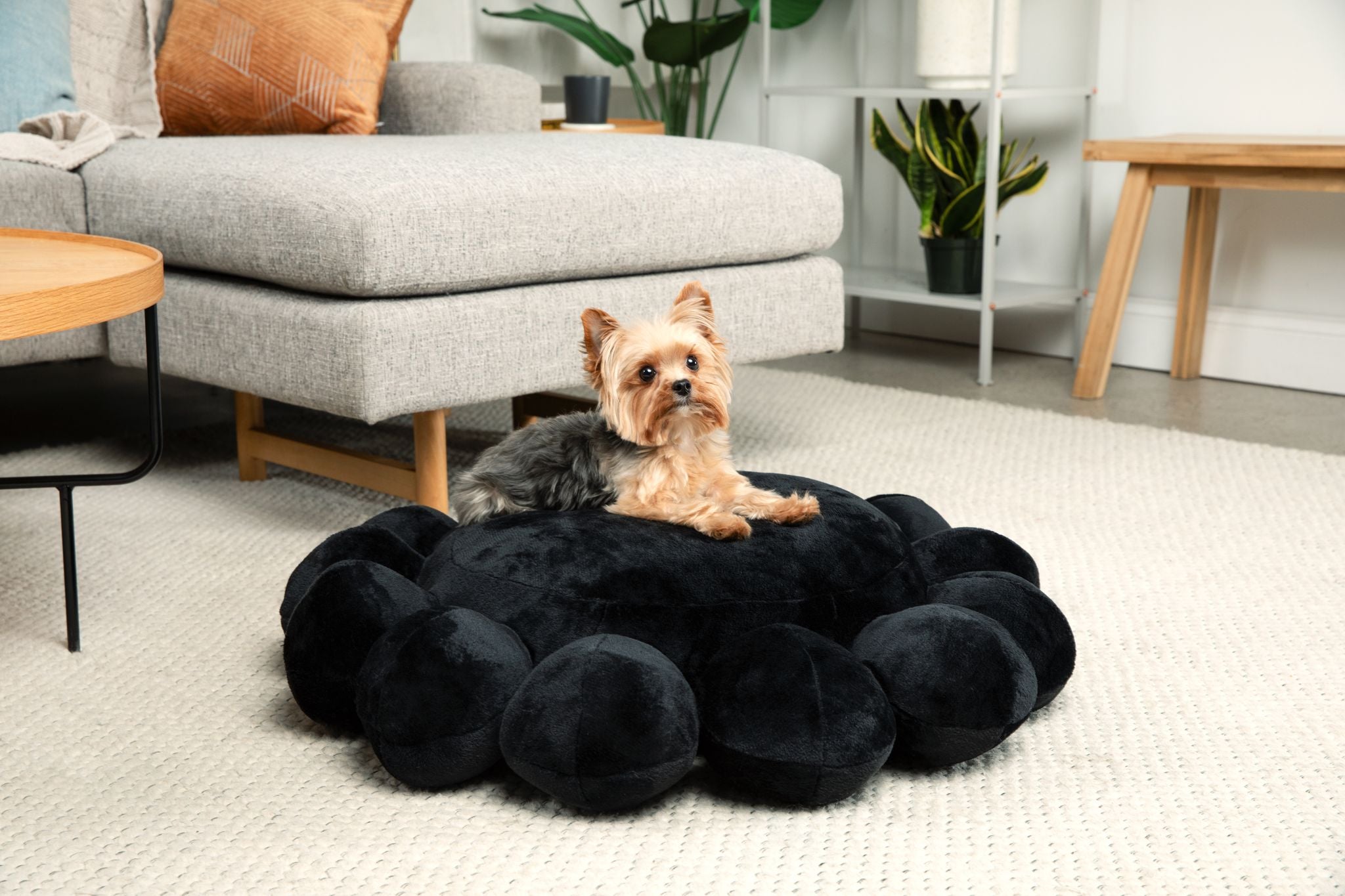 Bubble Dog Bed