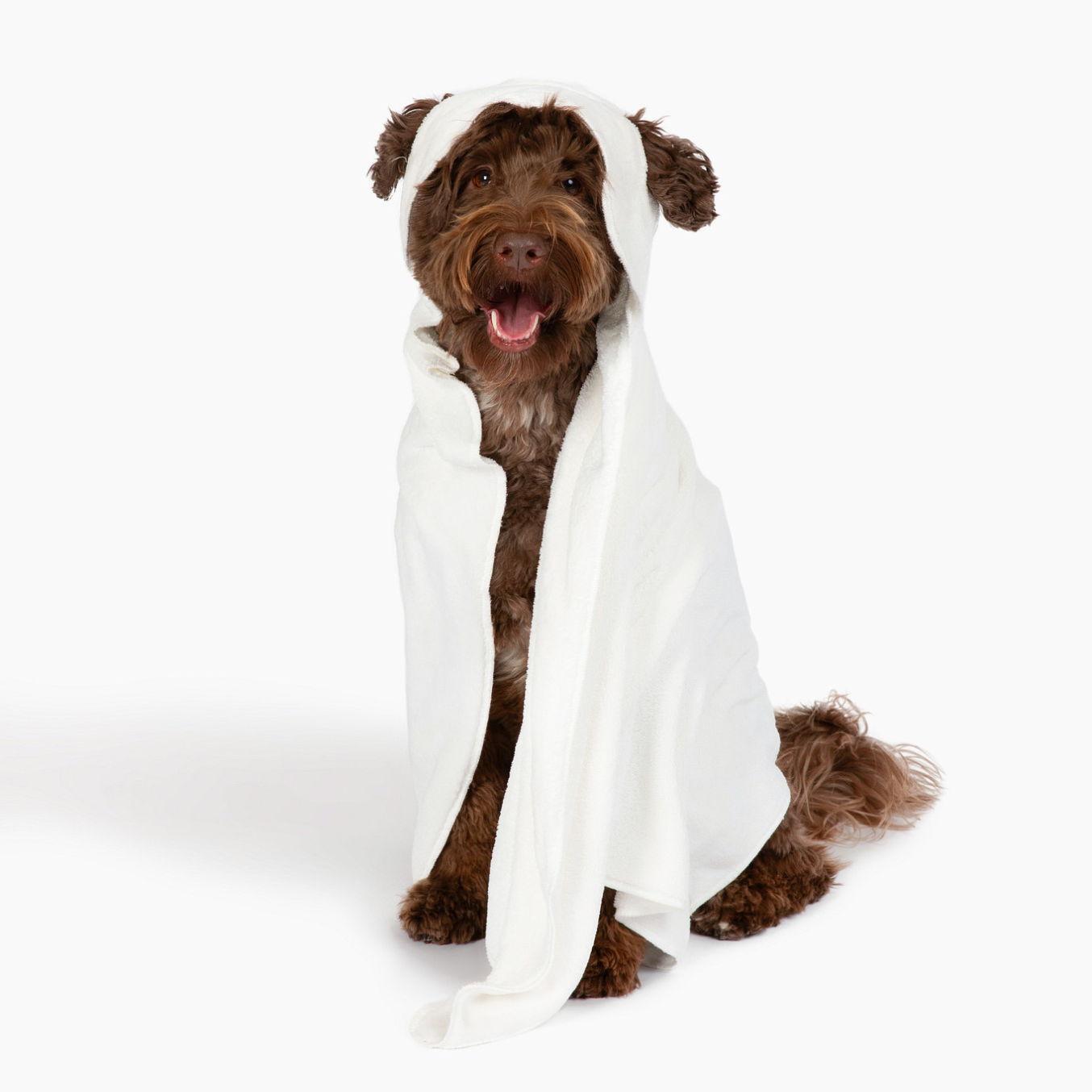 Hooded Dog Blanket