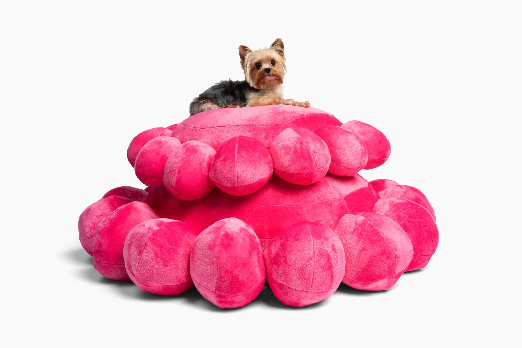 Bubble Dog Bed
