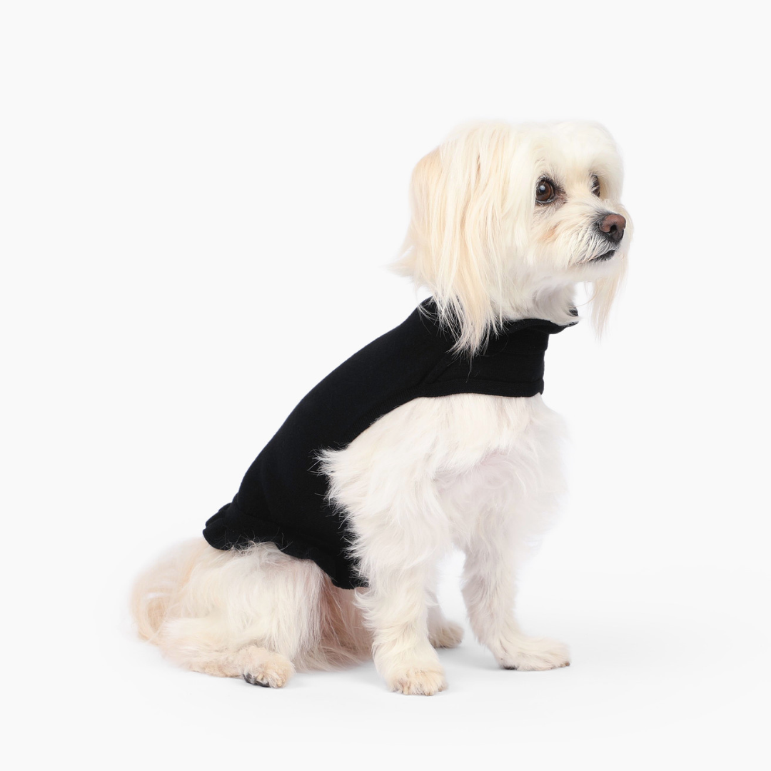 Ruffle Dog Dress