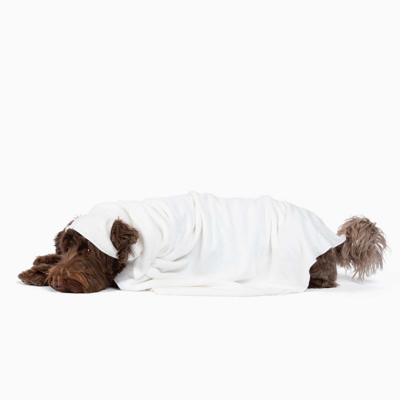 Hooded Dog Blanket