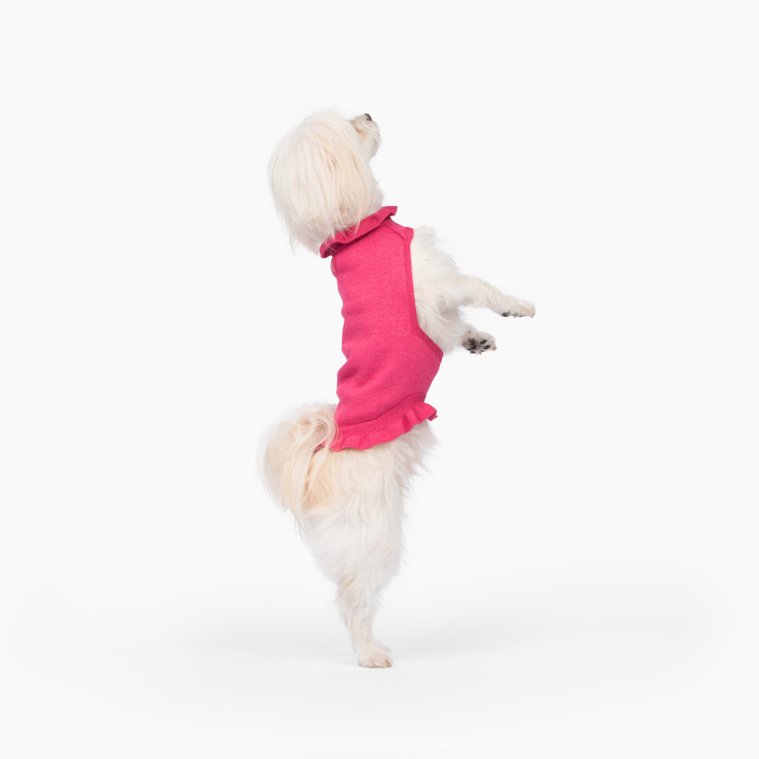 Ruffle Dog Dress