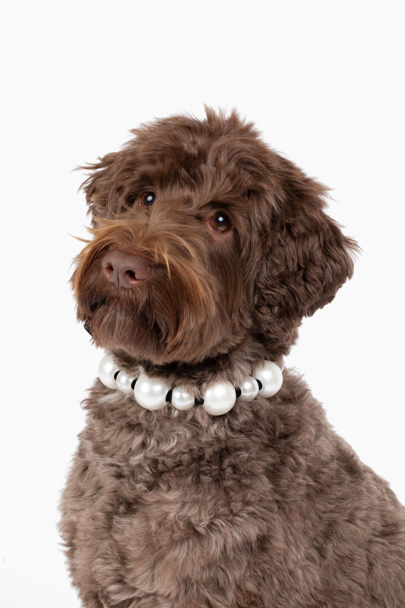 Pearl Dog Necklace